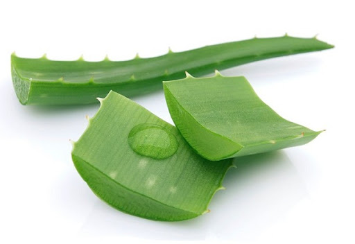 cách làm sạch gàu bằng nha đam